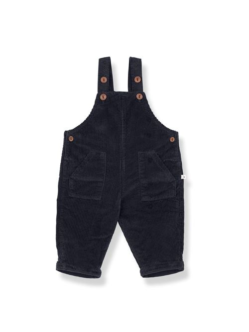  1+ IN THE FAMILY | BENOITDARKBLUE